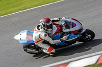 anglesey;brands-hatch;cadwell-park;croft;donington-park;enduro-digital-images;event-digital-images;eventdigitalimages;mallory;no-limits;oulton-park;peter-wileman-photography;racing-digital-images;silverstone;snetterton;trackday-digital-images;trackday-photos;vmcc-banbury-run;welsh-2-day-enduro